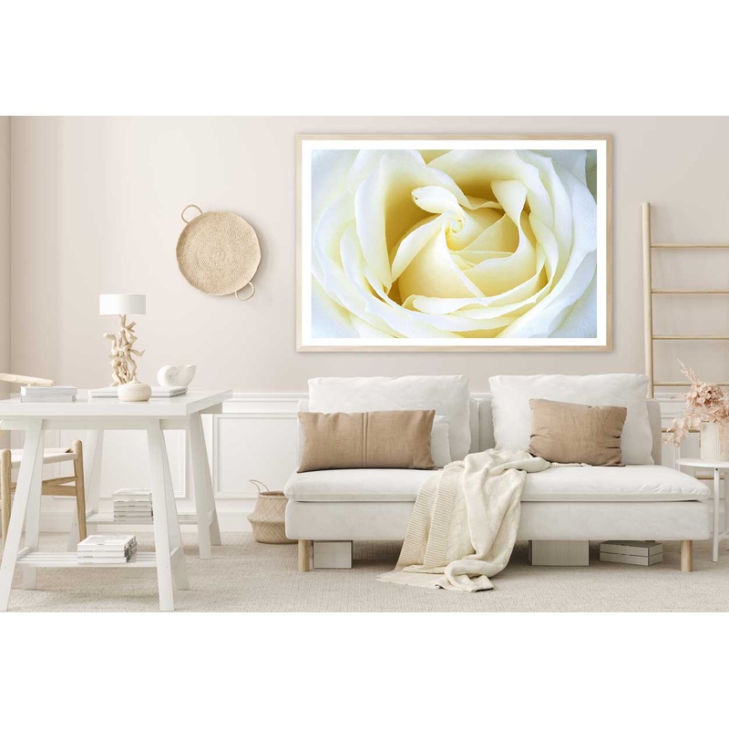 White Rose Petals Closeup View Home Decor Premium Quality Poster Print Choose Your Sizes