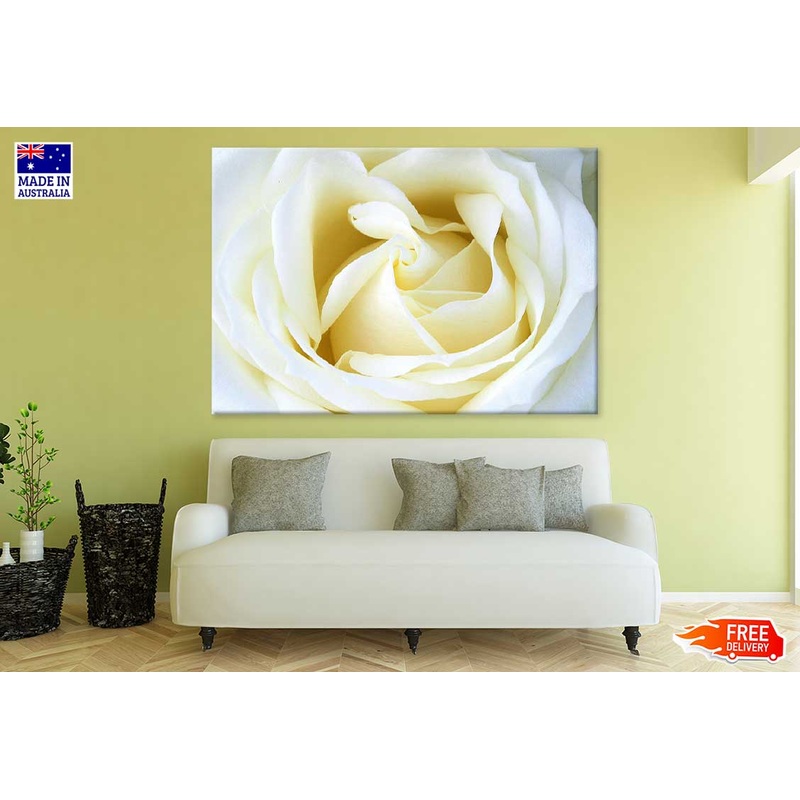 White Rose Petals Closeup View Photograph Print 100% Australian Made