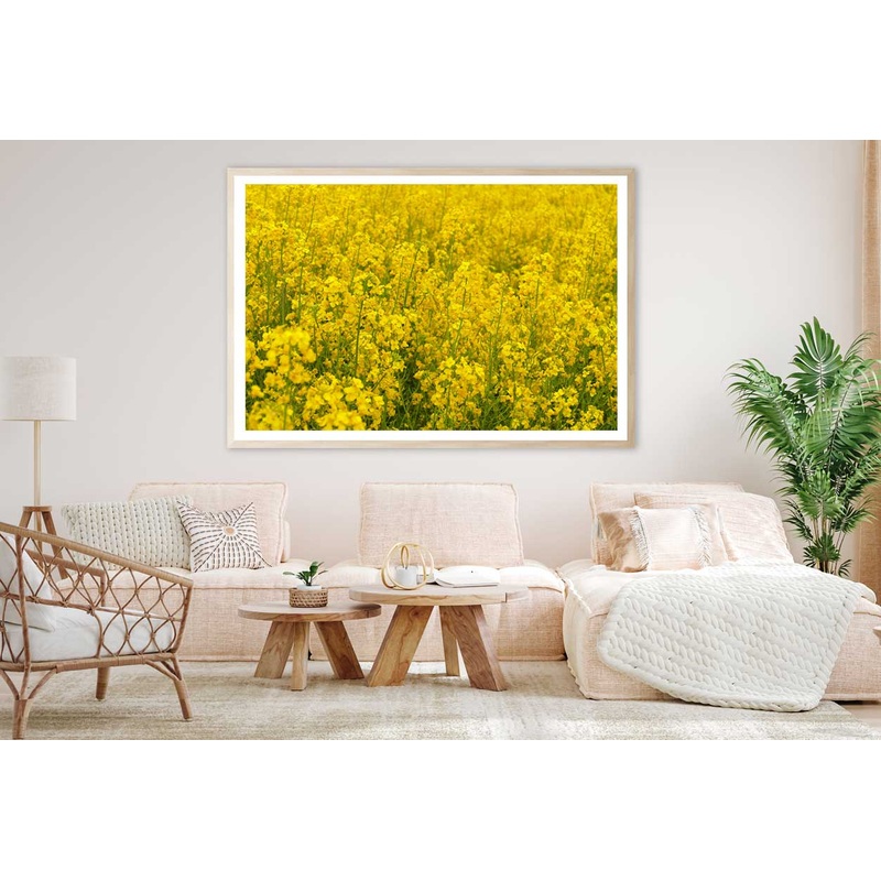 Wild Yellow Flower Field View Photograph Home Decor Premium Quality Poster Print Choose Your Sizes