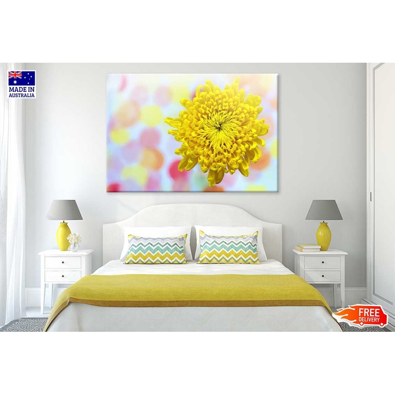 Yellow Chrysanthemum Closeup View Photograph Print 100% Australian Made