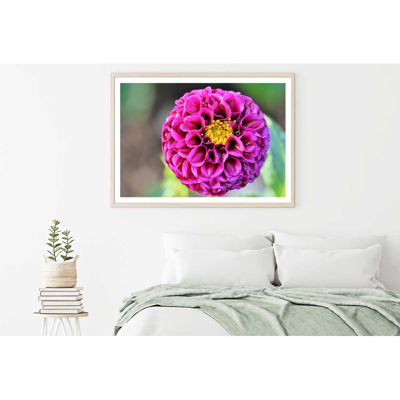 Yellow Dahlia Closeup Side View Home Decor Premium Quality Poster Print Choose Your Sizes