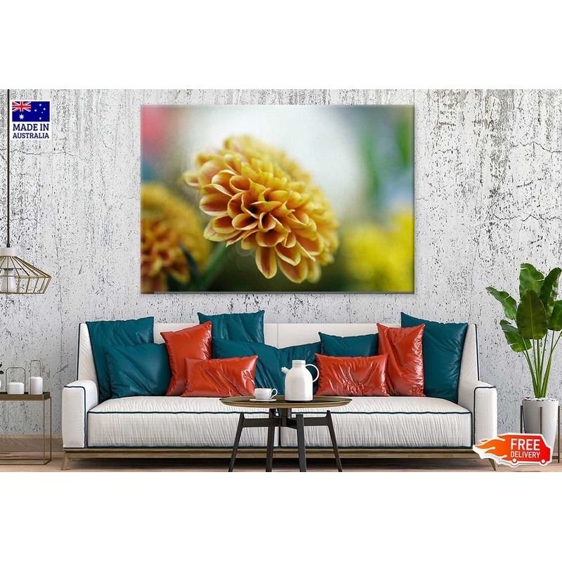 Yellow Dahlia Closeup Side View Photograph Print 100% Australian Made