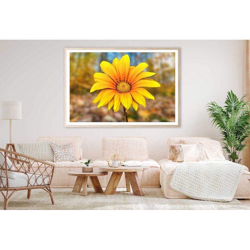 Yellow Daisy Flower Closeup View Photograph Home Decor Premium Quality Poster Print Choose Your Sizes