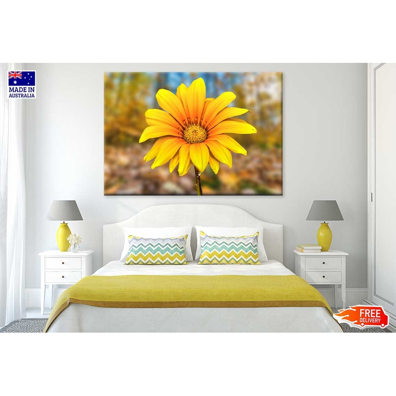 Yellow Daisy Flower Closeup View Photograph Print 100% Australian Made