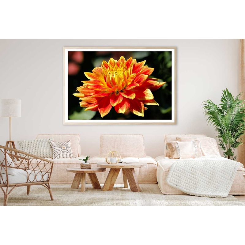 Yellow Orange Dahlia Flower View Photograph Home Decor Premium Quality Poster Print Choose Your Sizes