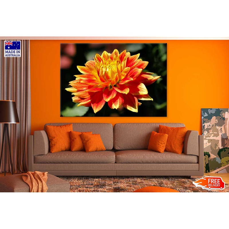 Yellow Orange Dahlia Flower View Photograph Print 100% Australian Made