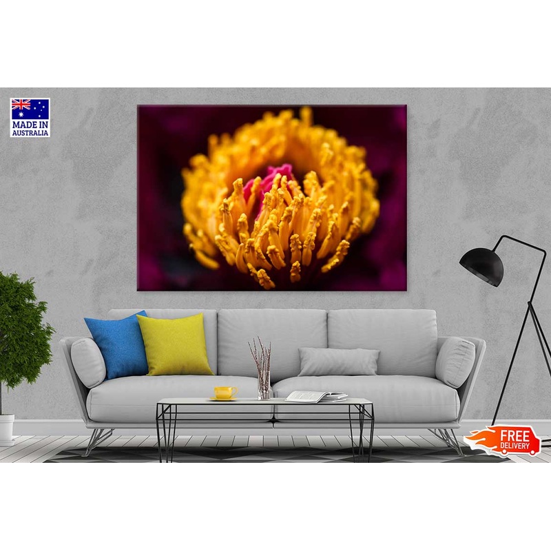 Yellow Peony Closeup View Photograph Print 100% Australian Made