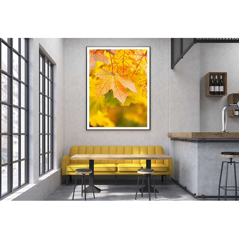 Yellow Red Maple Leaves Closeup View Photograph Home Decor Premium Quality Poster Print Choose Your Sizes