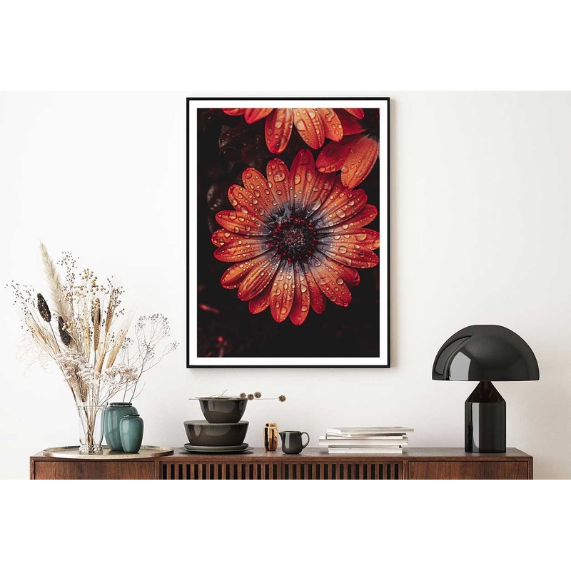 Water Droplet on Orange Gerbera View Photograph Home Decor Premium Quality Poster Print Choose Your Sizes