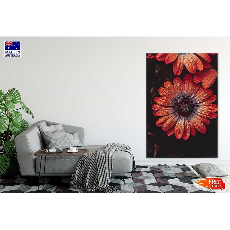 Water Droplet on Orange Gerbera View Photograph Print 100% Australian Made
