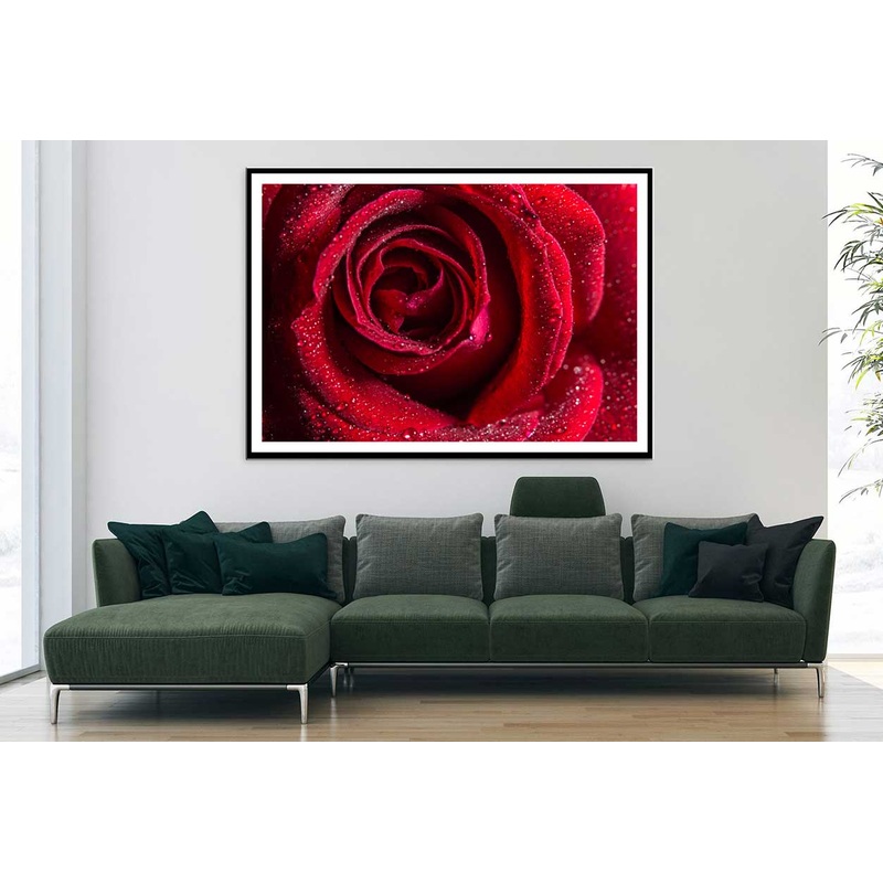 Water Droplet on Red Rose View Photograph Home Decor Premium Quality Poster Print Choose Your Sizes