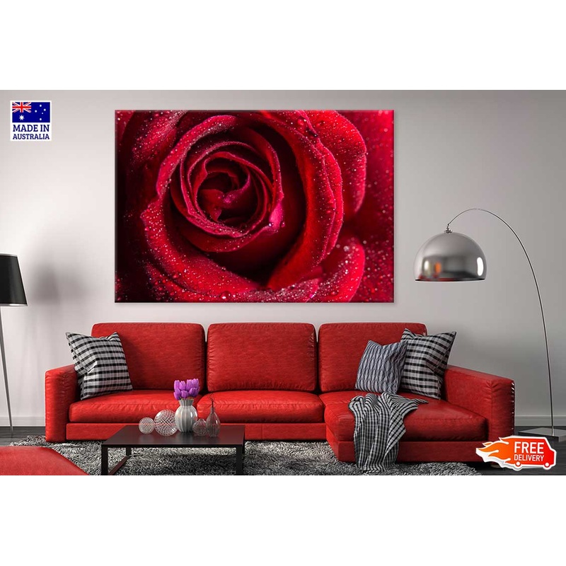 Water Droplet on Red Rose View Photograph Print 100% Australian Made