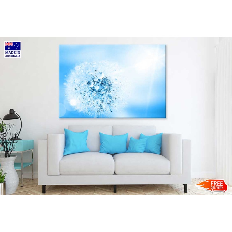 Water on Dandelion Macro View Photograph Print 100% Australian Made