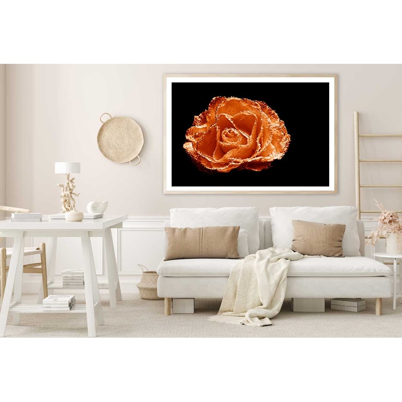 Water on Orange Rose Closeup View Photograph Home Decor Premium Quality Poster Print Choose Your Sizes