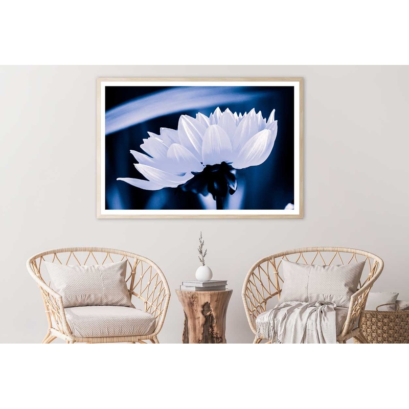 White Flower on Dark Side View Photograph Home Decor Premium Quality Poster Print Choose Your Sizes
