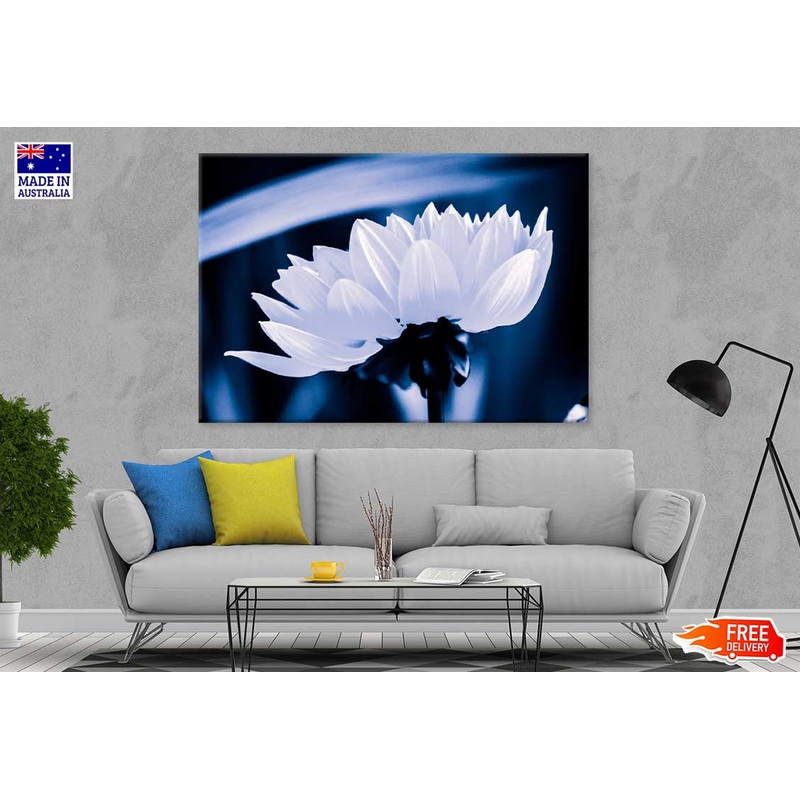 White Flower on Dark Side View Photograph Print 100% Australian Made