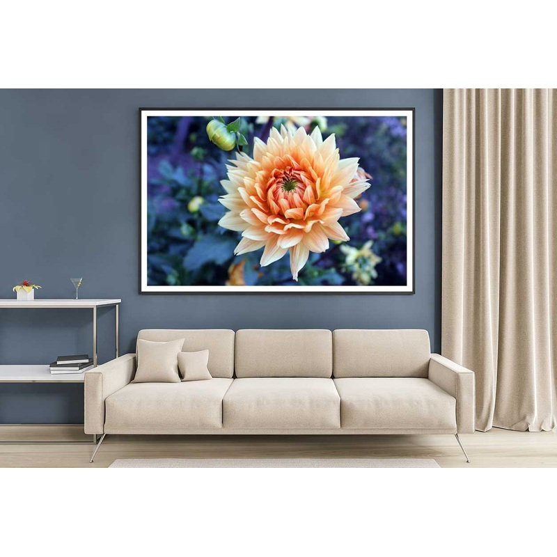 White Orange Dahlia Closeup View Photograph Home Decor Premium Quality Poster Print Choose Your Sizes