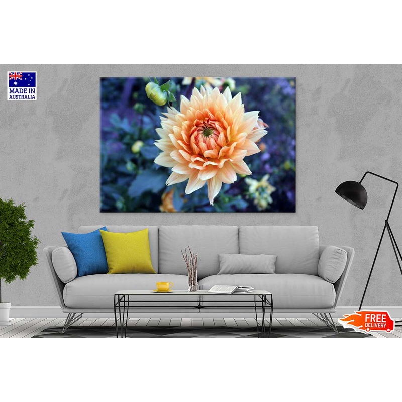 White Orange Dahlia Closeup View Photograph Print 100% Australian Made