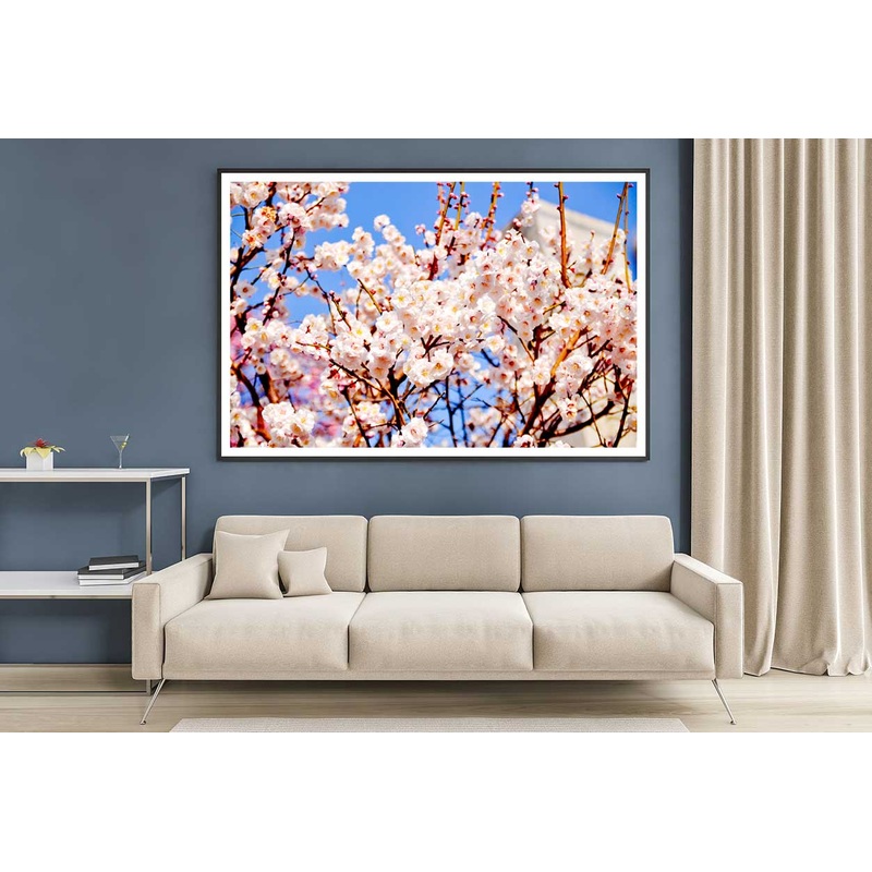 White Pink Cherry Flower Branch Photograph Home Decor Premium Quality Poster Print Choose Your Sizes