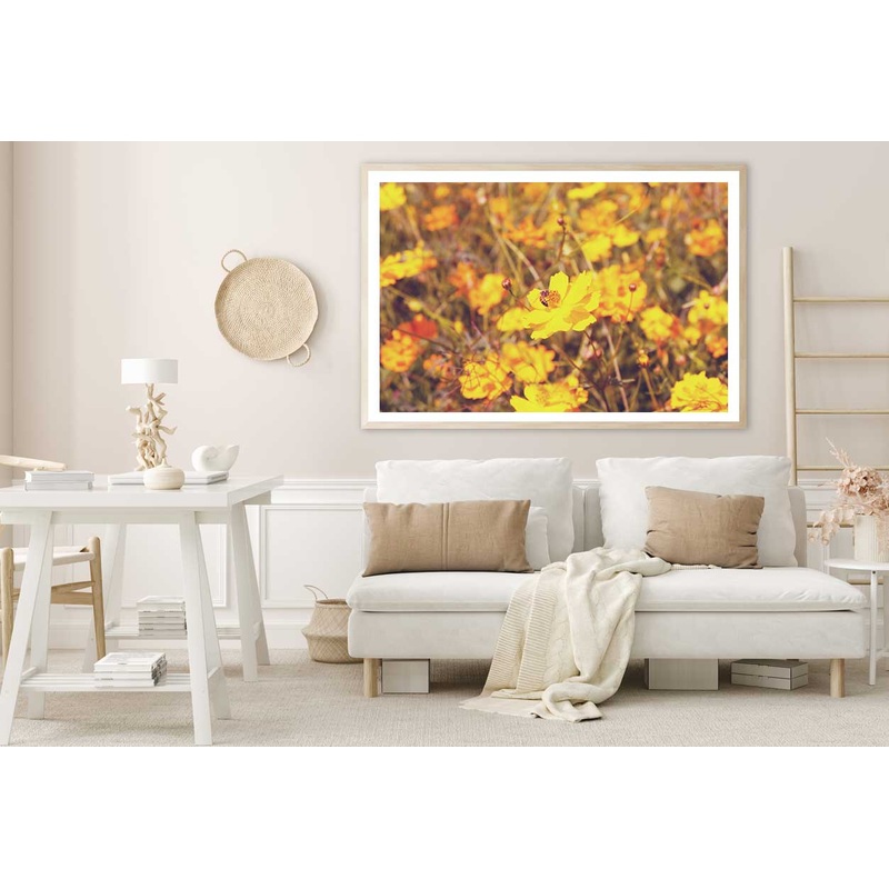 Yellow Cosmos Flower Field View Photograph Home Decor Premium Quality Poster Print Choose Your Sizes