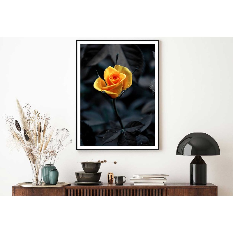 Yellow Orange Rose View on Dark View Photograph Home Decor Premium Quality Poster Print Choose Your Sizes
