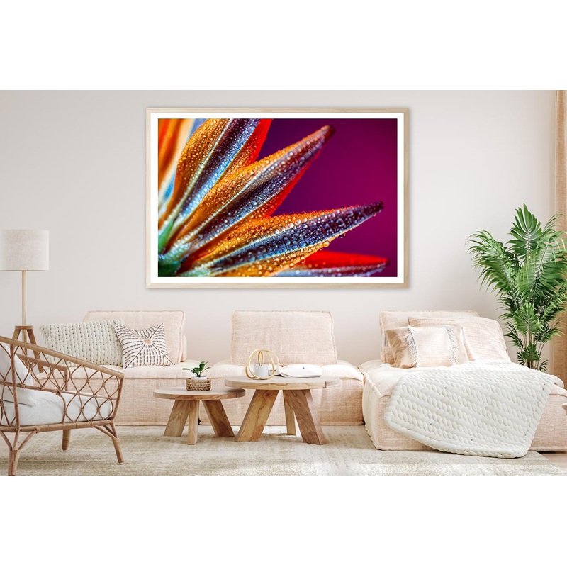 Water Droplets On Flower Close Up Home Decor Premium Quality Poster Print Choose Your Sizes