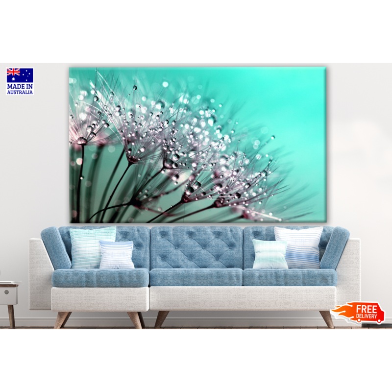Water Drops on Flower Closeup Photograph Print 100% Australian Made