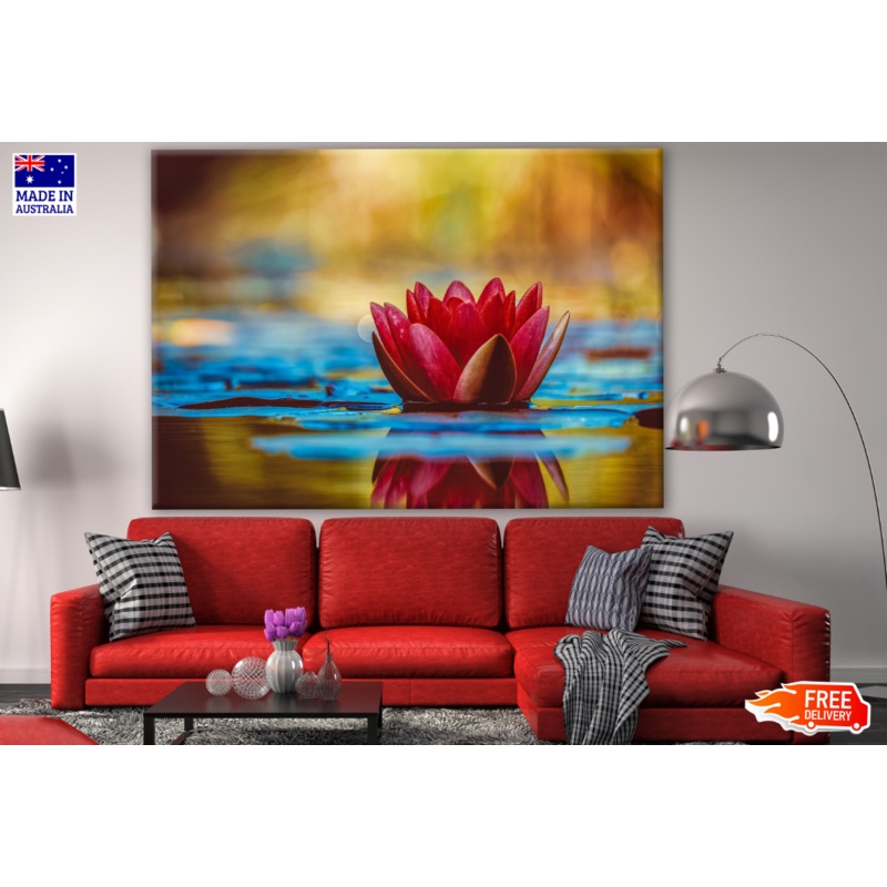 Water Lily on Water Photograph Print 100% Australian Made