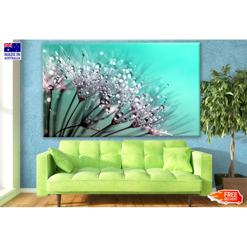 Water Splash on Dandelion Flowers Photograph Print 100% Australian Made