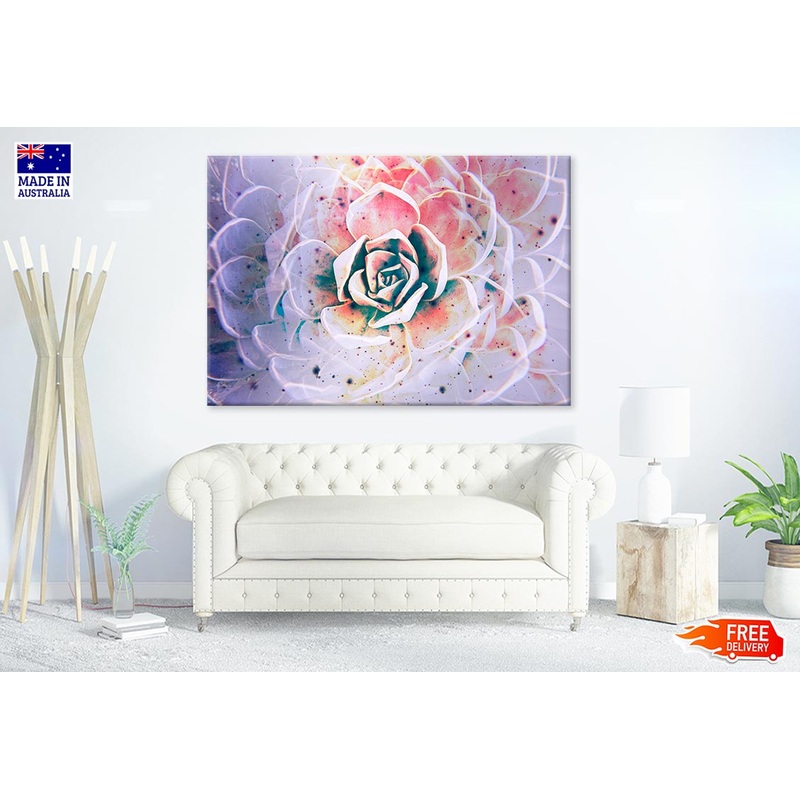 White Mexican Rose closeup Print 100% Australian Made