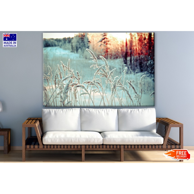 Winter Landscape with Frozen Flowers Photograph Print 100% Australian Made