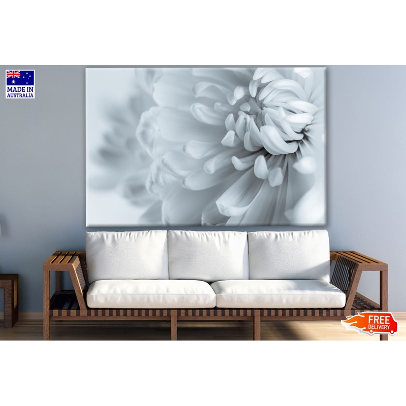 White Flower Closeup Photograph Print 100% Australian Made