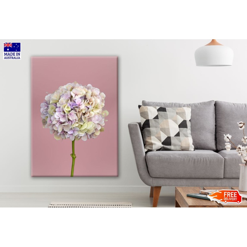 Yellow & Purple Flowers on White Background Photograph Print 100% Australian Made