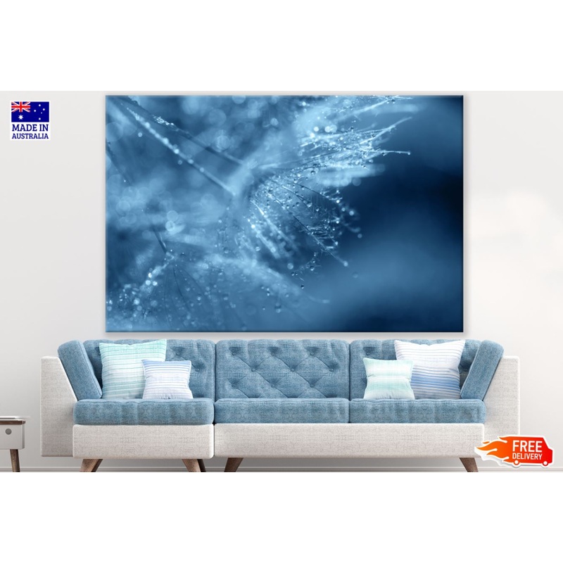 Water Drops on Dandelion Flowers Photograph Print 100% Australian Made