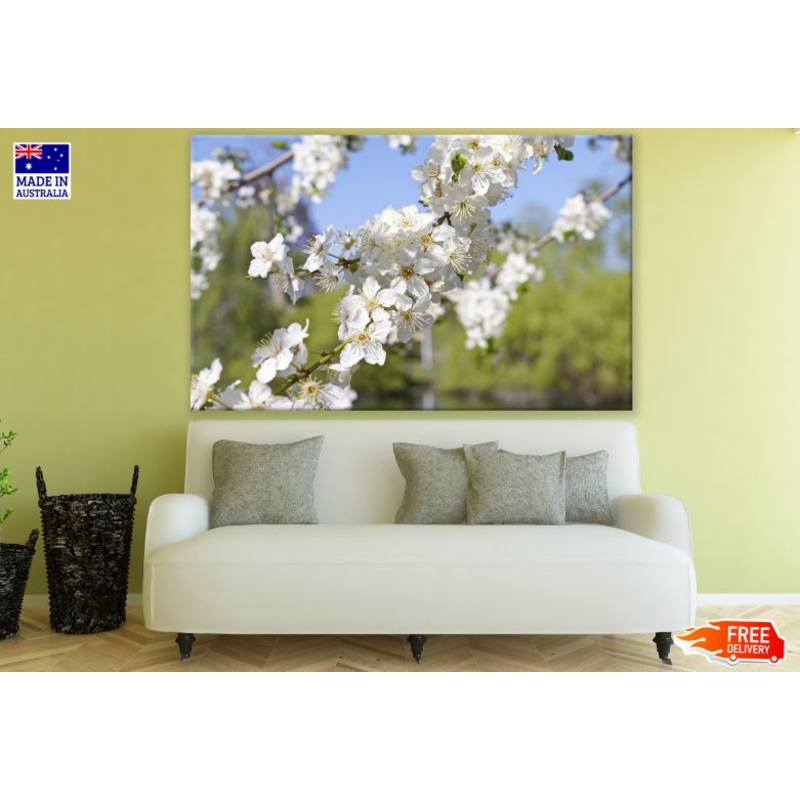 White Blossom Flower Tree Photograph Print 100% Australian Made