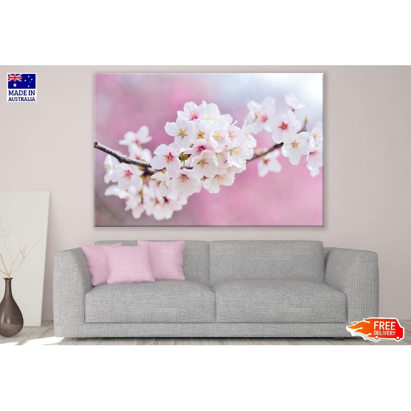 White Blossom Flowers Closeup Photograph Print 100% Australian Made