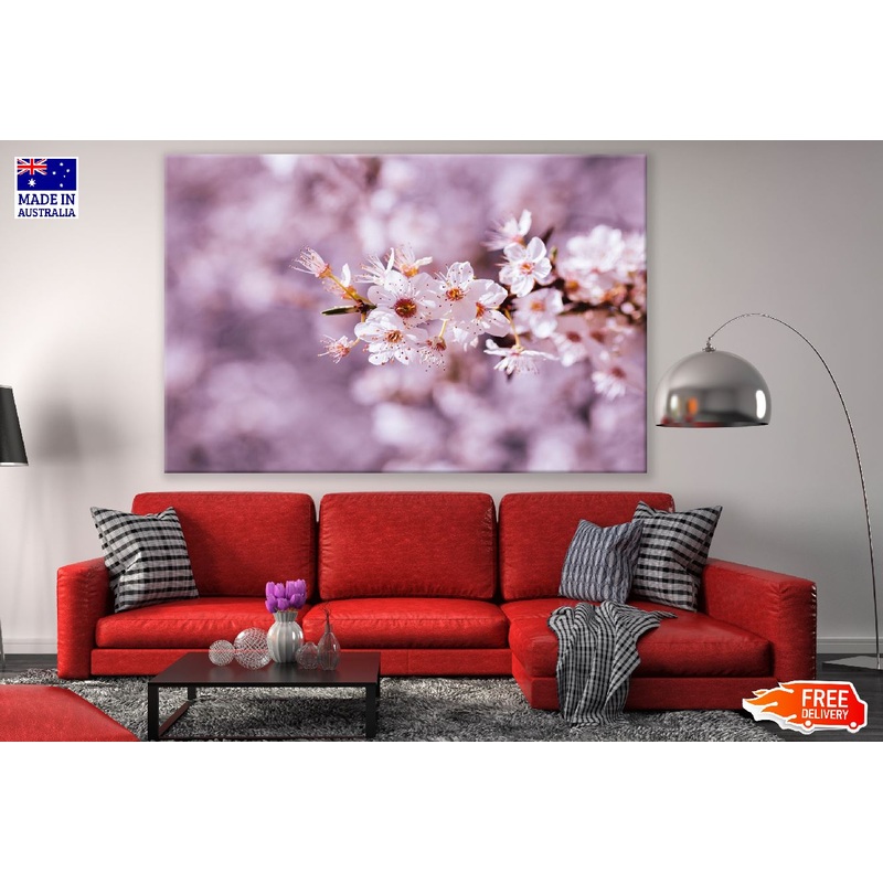White Cherry Blossom Flower Closeup Photograph Print 100% Australian Made
