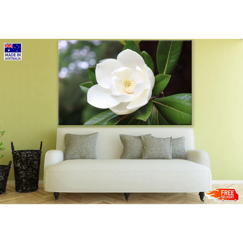 White Flower Macro Photograph Print 100% Australian Made