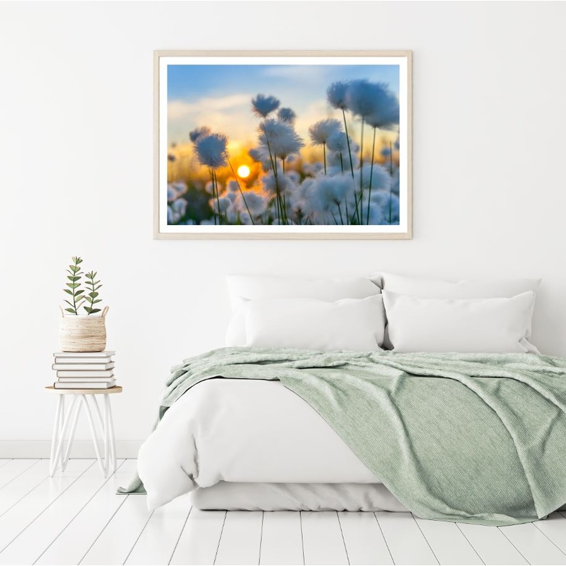 White Flowers Sunset View Closeup Home Decor Premium Quality Poster Print Choose Your Sizes