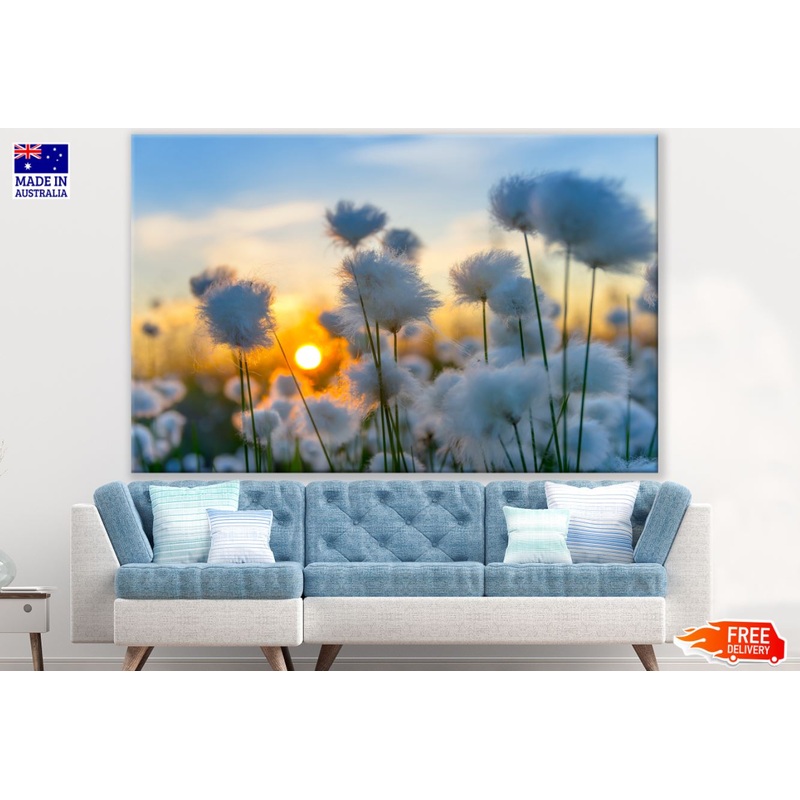 White Flowers Sunset View Closeup Print 100% Australian Made