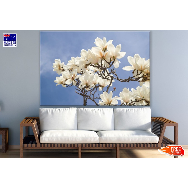 White Flowers Tree Photograph Print 100% Australian Made