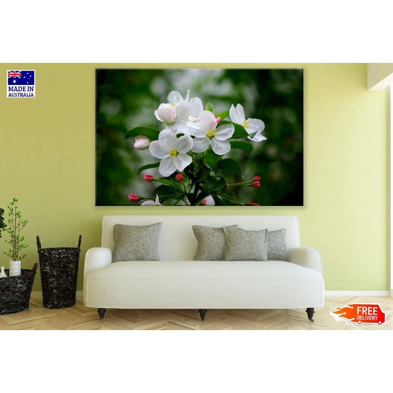 White Spring Blossom Closeup Photograph Print 100% Australian Made