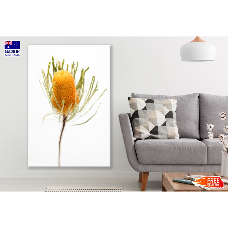 Yellow Flower Closeup Photograph Print 100% Australian Made