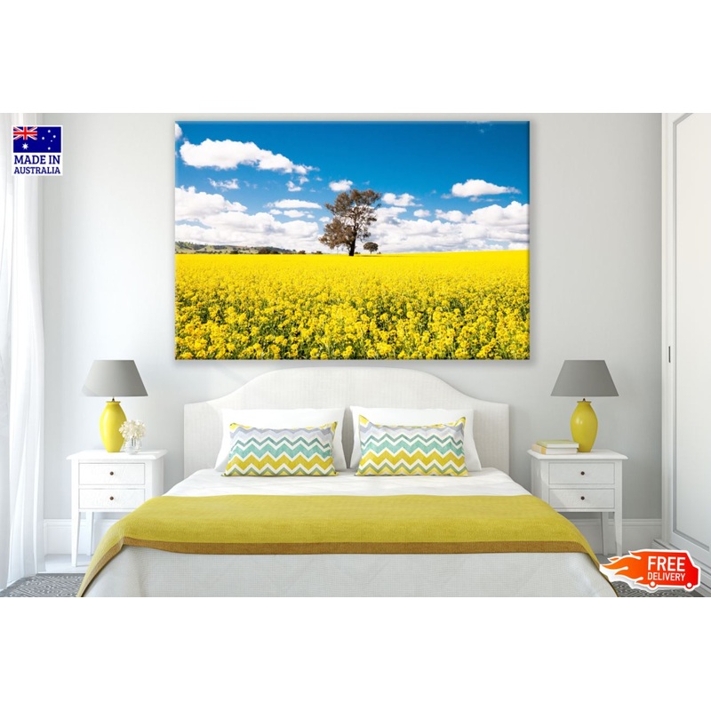Yellow Flower Field Photograph Print 100% Australian Made