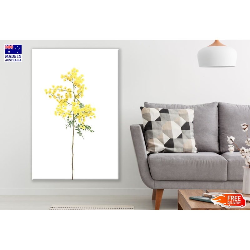 Yellow Flower Plant Photograph Print 100% Australian Made