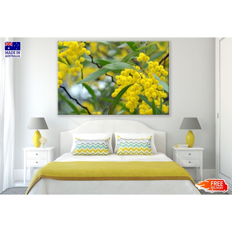Yellow Flower Tree Closeup View Print 100% Australian Made