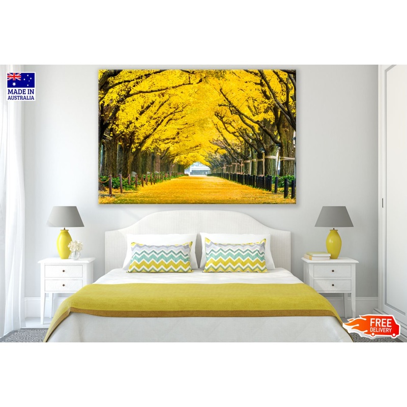 Yellow Flower Tree Road Scenery Print 100% Australian Made