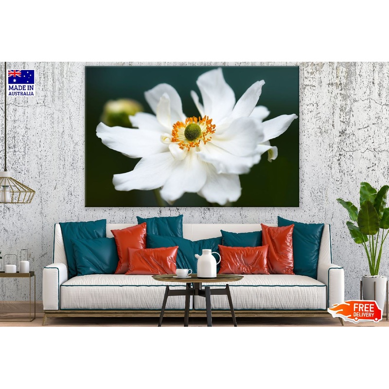 White Anemone Flower Closeup Photograph Print 100% Australian Made