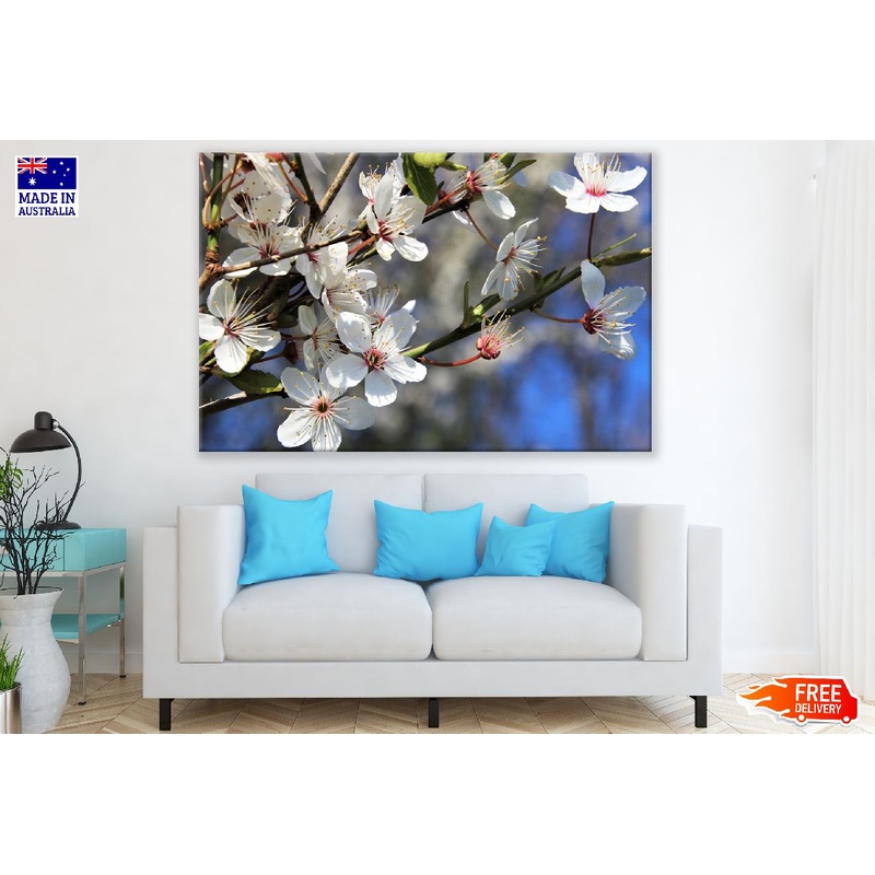 White Cherry Blossom Flowers with Branches Photograph Print 100% Australian Made