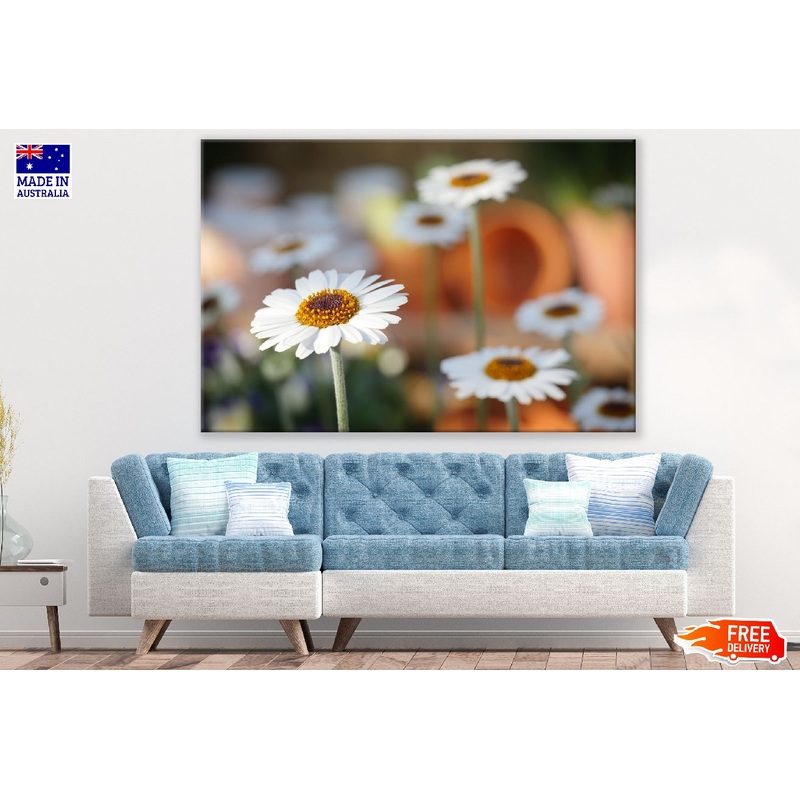 White Daisy Flower Closeup Photograph Print 100% Australian Made